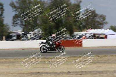 media/Sep-07-2024-Pacific Track Time (Sat) [[9bb89f5e83]]/C group/Front Straight 1240pm/